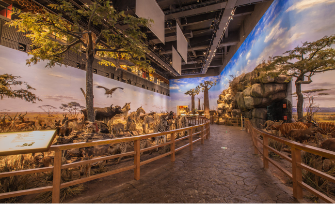 展廳設計|展館設計|規劃館設計|博物館設計|檔案館設計|企業展廳設計|主題游樂館設計|校園文化館設計|文博館設計|多媒體展廳|展廳展館設計施工公司|特發國際|特發